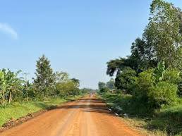 Farmers are willing to do the hard work, government must do the same – Denis Jjuuko