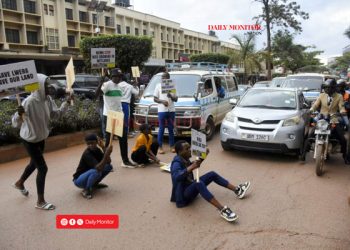 Youth activists arrested over protesting Lwera wetland degradation