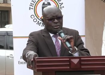 Electoral Commission warns against Youth Brigades in elections
