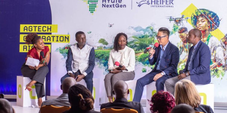 Young entrepreneurs advocate for inclusive food resilient systems across Africa