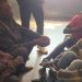 Nine Traffic Jam Car Thieves Arrested