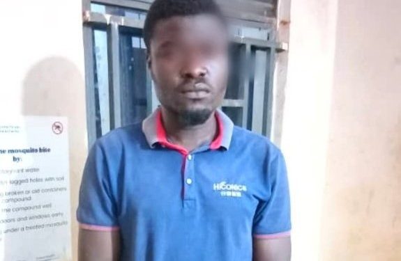 One Arrested Over Vandalising Electricity Wires