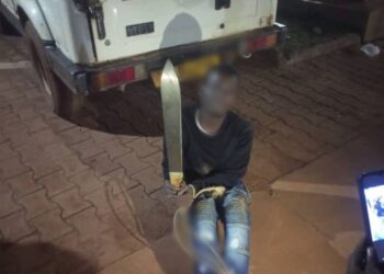 Two Panga Wielding Thugs Arrested in Kireka