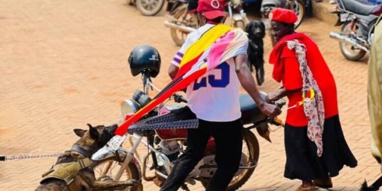 VIDEO: Police Unleashes Dogs, Teargas at NUP Supporters During Bobi Wines Kawempe Rallies