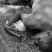 Police Officer Shoots S3 Student Dead, Injures Teacher During Arrest