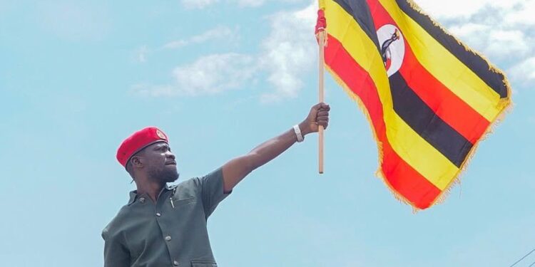 Gov’t Warns on Use of National Flag During Campaigns