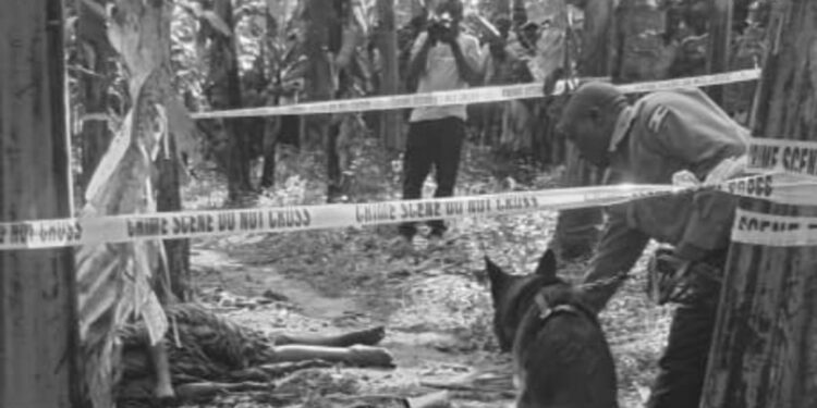 Dog Sniffs out Nephew from Crowd in Aunt’s Murder