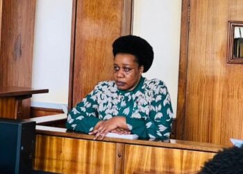 Activist Bireete Charged With Unlawful Disclosure of Voters Data