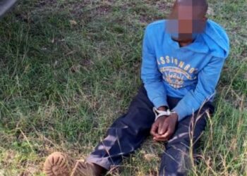 Sniffer Dog Tracks Down Murder Suspect