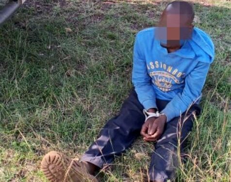Sniffer Dog Tracks Down Murder Suspect