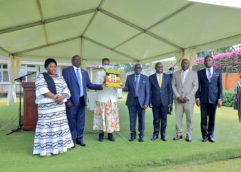 Boys Outperform Girls In 2025 PLE