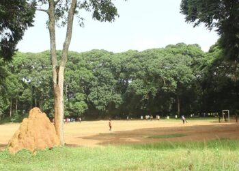 Museveni Orders Cancellation of Land Titles in Kitubulu Forest Reserve