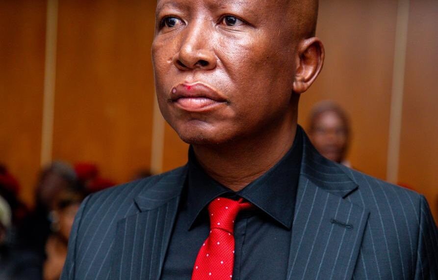South Africa’s Malema Sentenced to Five Years Imprisonment