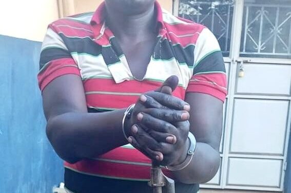 11 Arrested Over Robbery, Murder of Soroti Mobile Money Agent