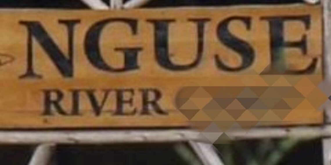 Over 20 Feared Dead After Boat Capsizes on River Nguse in Kagadi District