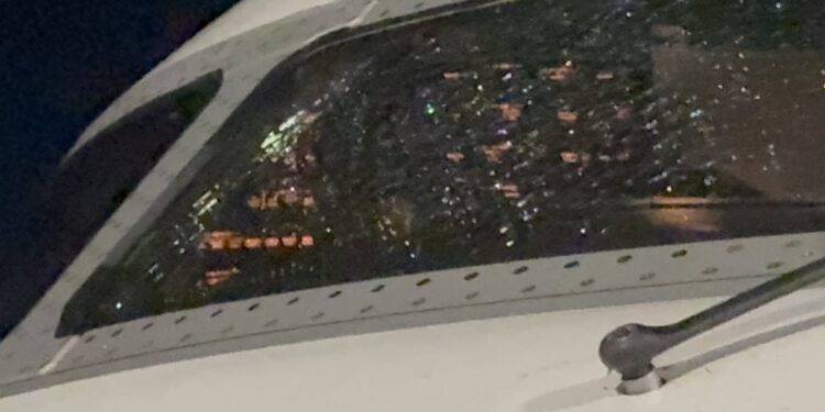 Uganda Airlines Forced to Make Emergency Landing After Bird Strike