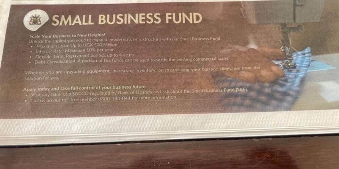 Bank of Uganda’s Small Business Fund Good But…. – Denis Jjuuko