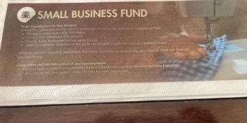 Bank of Uganda’s Small Business Fund Good But…. – Denis Jjuuko