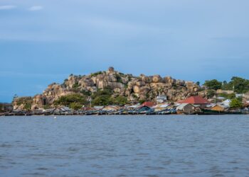 La Fang Eco Resort Launches Campaign To Plant Two Million Trees on Dolwe Island