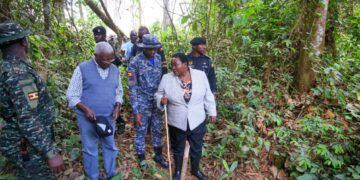 UWA Takes Over Management of Bugoma Central Forest Reserve