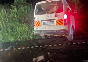Three URA Staff Dead After Car Knocks Elephant In Murchison Falls National Park