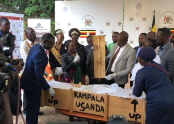 43 Recovered Artifacts to Be Showcased at International Museum Day