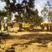 Police Shuts Down Illegal Gold Mine in Namayingo Following Partial Cave in