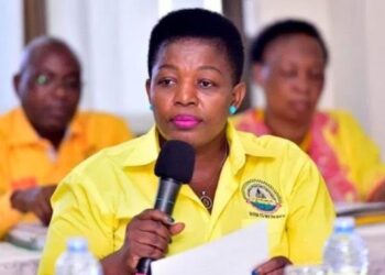 NTV, Daily Monitor Closures Followed Inquiry By President Museveni – Min Lumumba Reveals