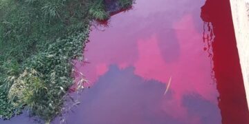 Nytil Fined UGX 180 Million Over Polluting River Nile