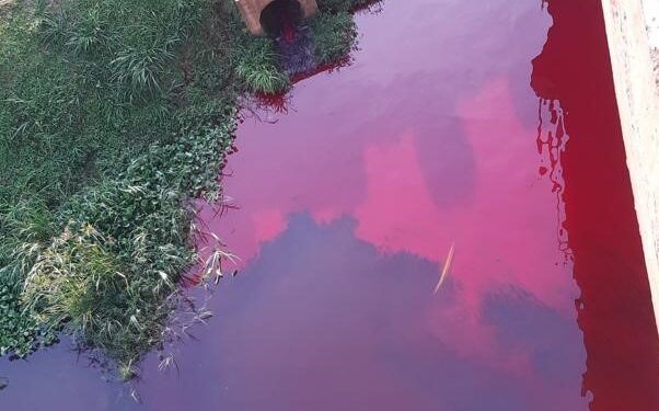 Nytil Fined UGX 180 Million Over Polluting River Nile