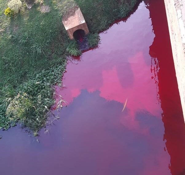 Nytil Fined UGX 180 Million Over Polluting River Nile