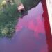 Nytil Fined UGX 180 Million Over Polluting River Nile