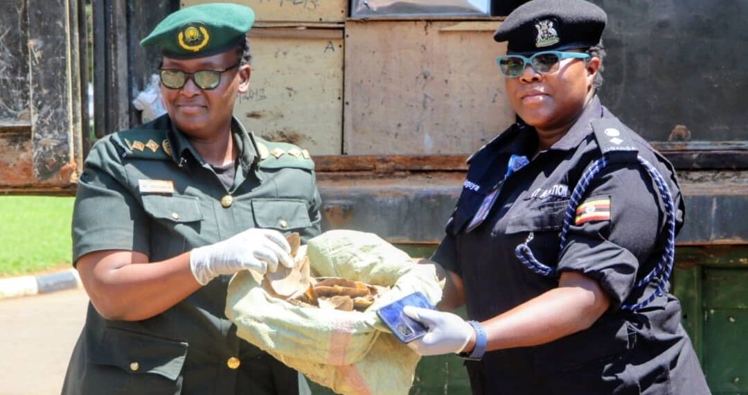 Aviation Police Hands Over 8.8 Tonnes Wildlife Contraband to UWA