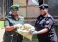 Aviation Police Hands Over 8.8 Tonnes Wildlife Contraband to UWA