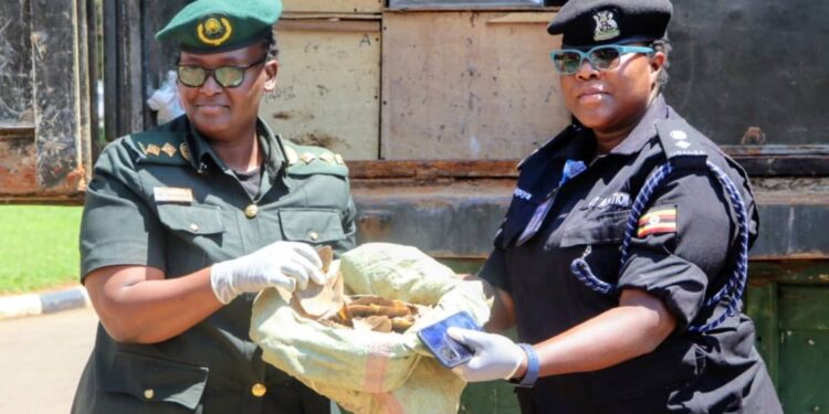 Aviation Police Hands Over 8.8 Tonnes Wildlife Contraband to UWA