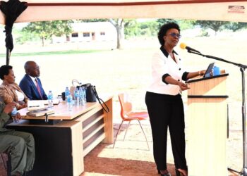 Deputy IGG Warns Ministers Against Interfering in Inspectorates Duties