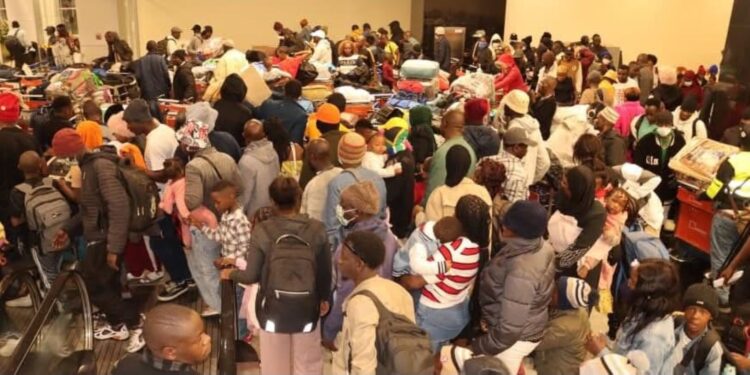 Skills and Investment Portal Could Help Those Fleeing Xenophobia – Denis Jjuuko