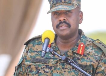 We Will Never Allow Foreign Interference in Uganda – Gen Muhoozi