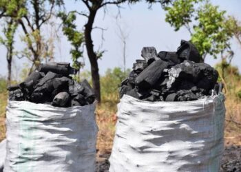 UPDF Orders Crackdown On Charcoal Burning In Northern Uganda, West Nile