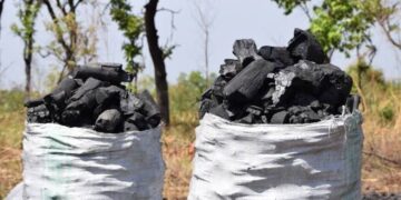 UPDF Orders Crackdown On Charcoal Burning In Northern Uganda, West Nile
