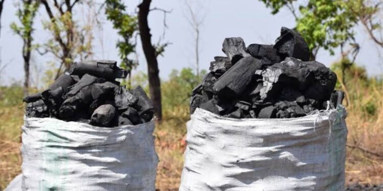 UPDF Orders Crackdown On Charcoal Burning In Northern Uganda, West Nile