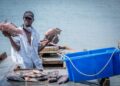 Fishermen Given September 15th Deadline to Get Licenses as Gov’t Issues New Fishing Guidelines