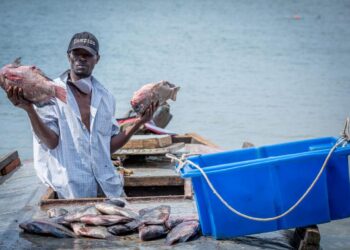 Fishermen Given September 15th Deadline to Get Licenses as Gov’t Issues New Fishing Guidelines