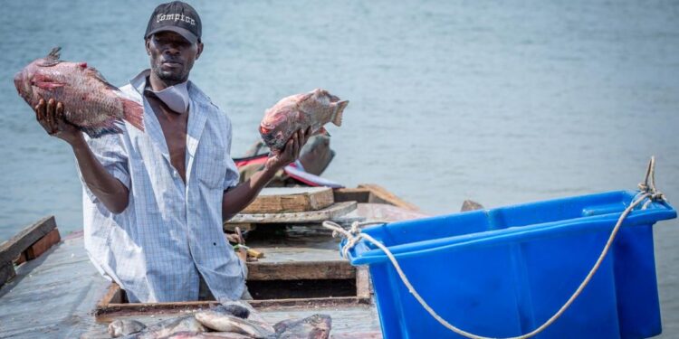 Fishermen Given September 15th Deadline to Get Licenses as Gov’t Issues New Fishing Guidelines