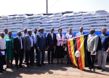 Gov’t Rolls Out Free Fertilizers to Boost Farmers Under PDM