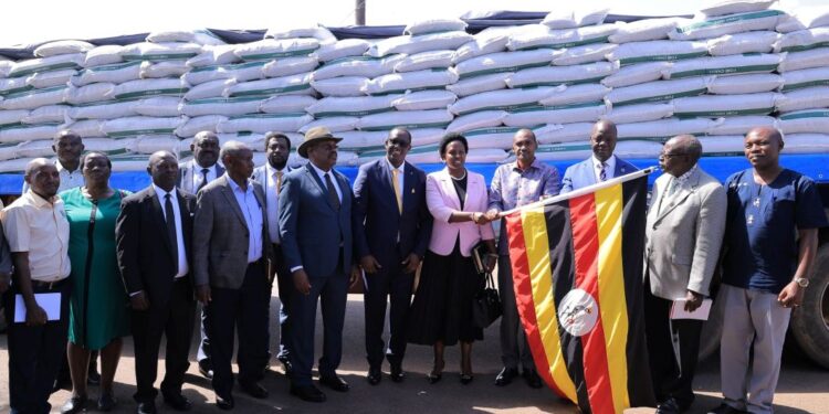 Gov’t Rolls Out Free Fertilizers to Boost Farmers Under PDM