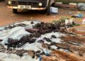 22 Arrested In Possession of Illegal Wildlife Products