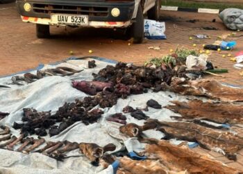 22 Arrested In Possession of Illegal Wildlife Products