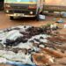 22 Arrested In Possession of Illegal Wildlife Products