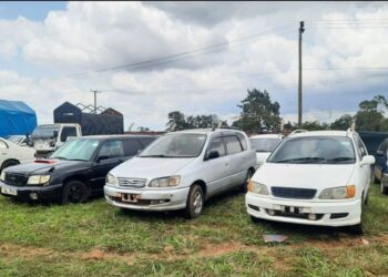 One Arrested In Connection With Theft of Over 50 Cars